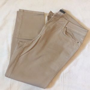 Ann Taylor curvy skinny